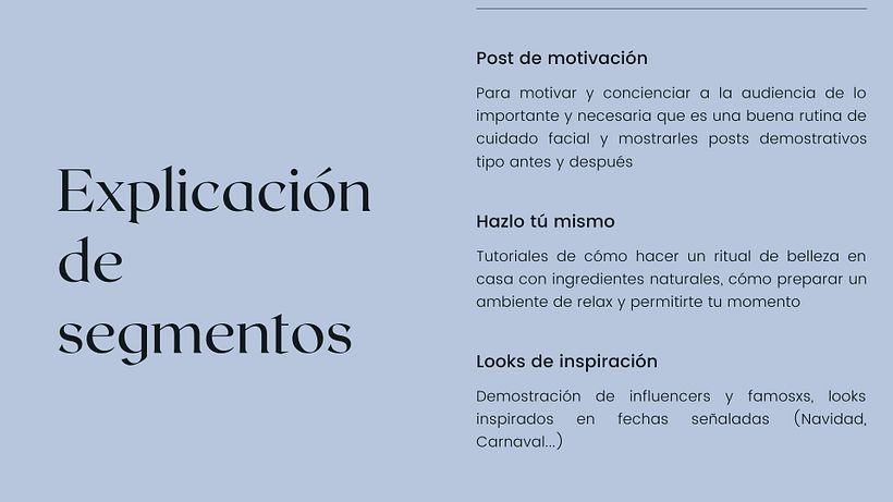 Mi Proyecto del curso: Introducción al community management 5