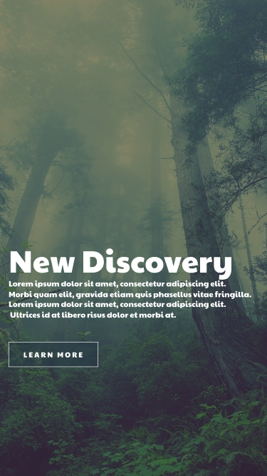 Learn About Design Process with Jan Wilker and Take His Course for Free 3
