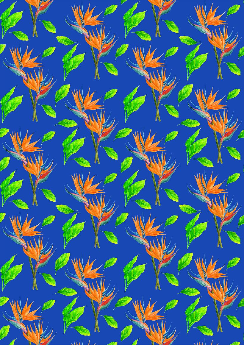 Repetición del rapport