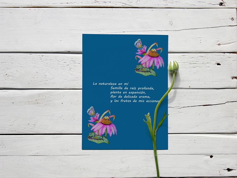 Protection de couverture