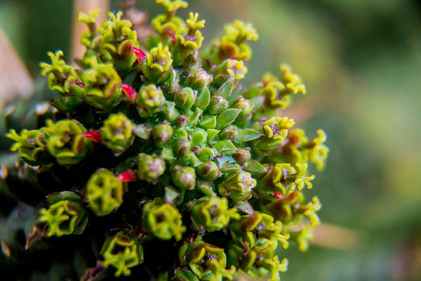 Una mirada diferente a mi jardín 1