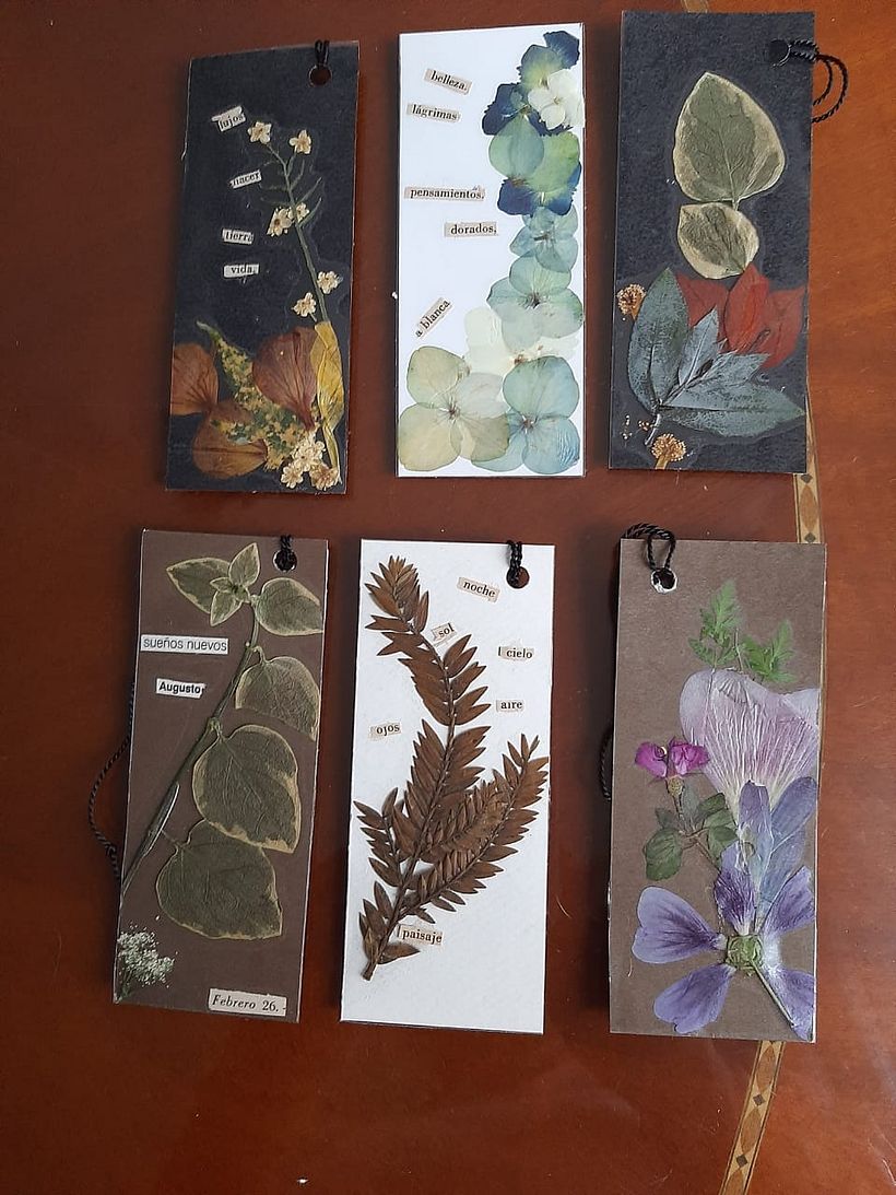 Mi Proyecto del curso: Técnicas básicas de prensado botánico Blanca Gladys Sotelo 6
