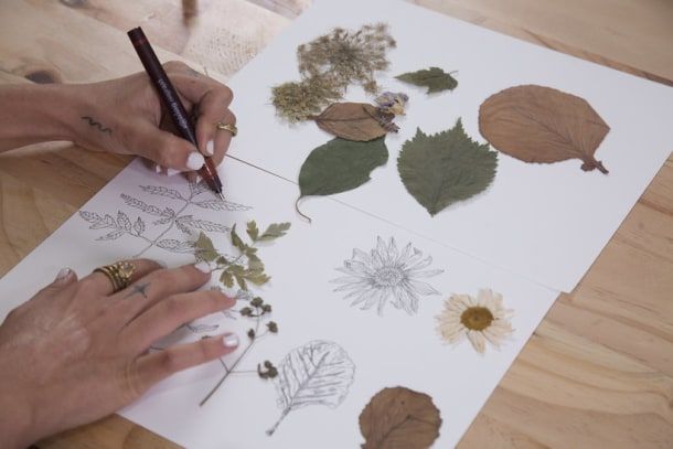 Amostras botânicas para esboços, de Lucía Coz