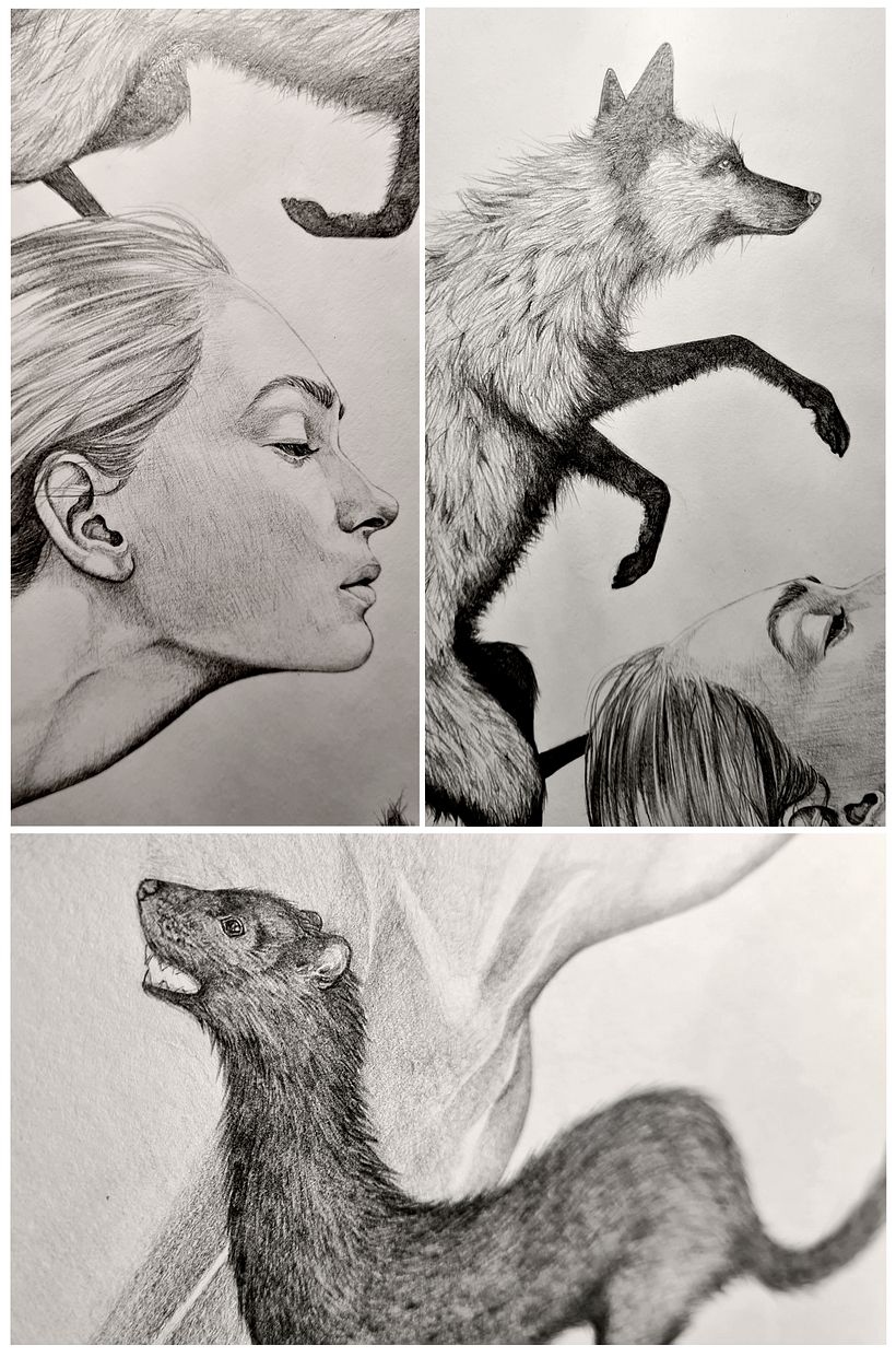 Progress of my pencil drawing