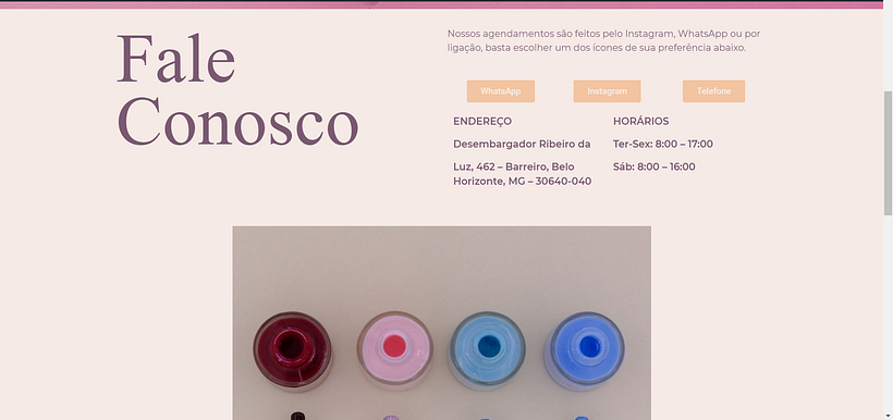 Meu projeto: Criação de um site profissional com WordPress 0