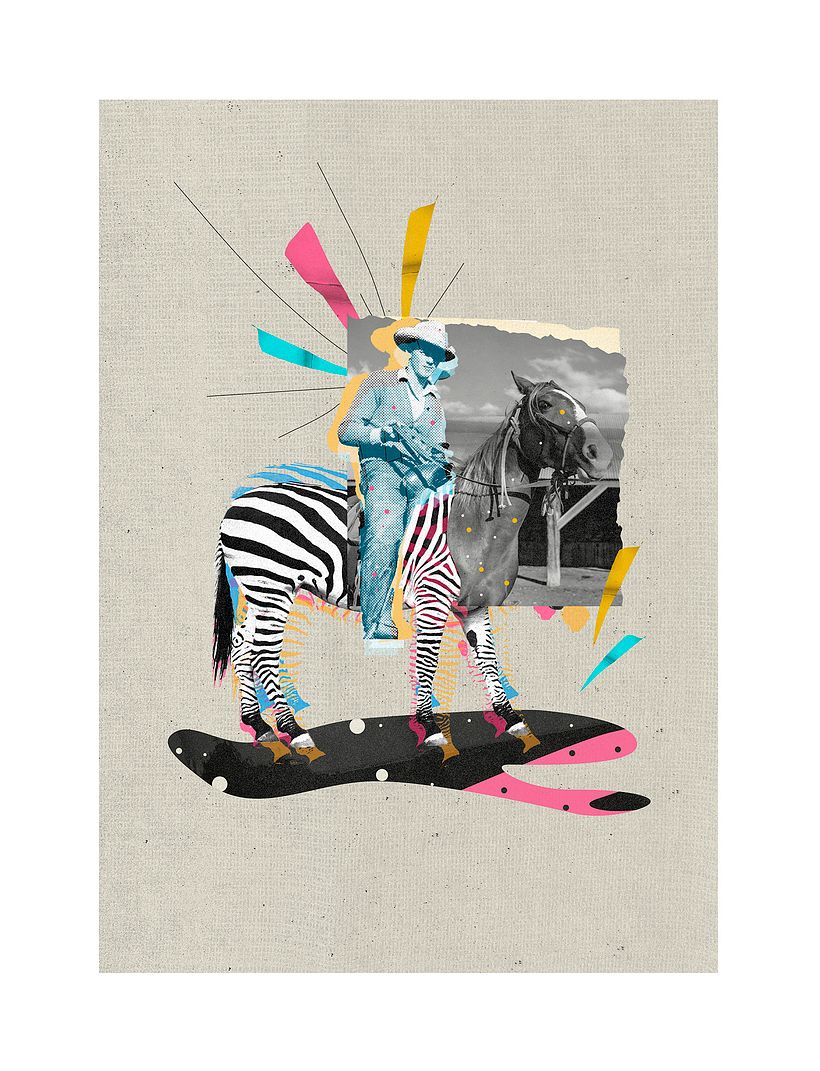 Zebra