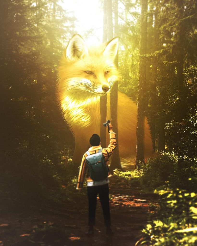 2D Manipulations 0