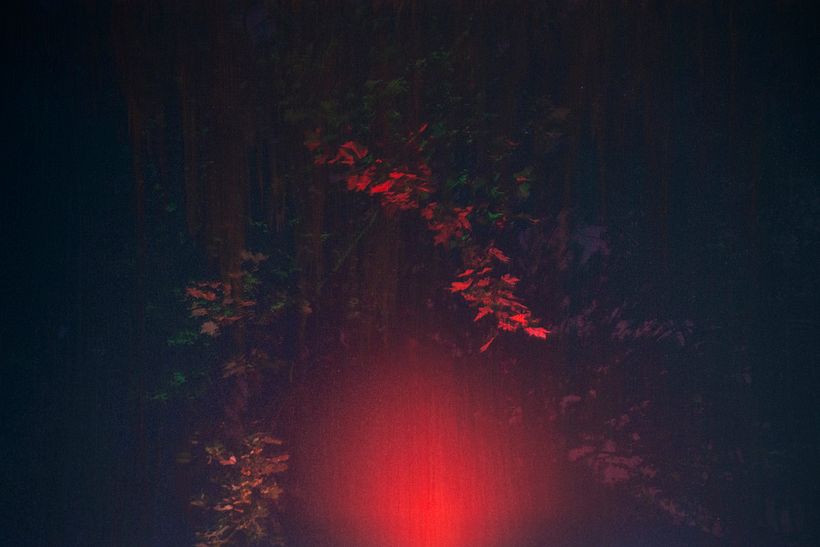 RGB. Transformación (2020) 12