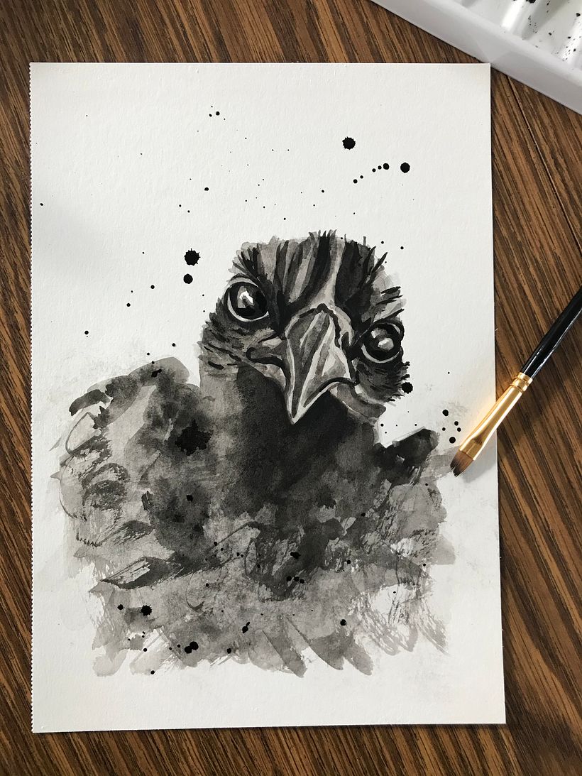 My reference photo was from my own photos of my chicken, Dutchess.  This is gouache black paint on 140lb paper.