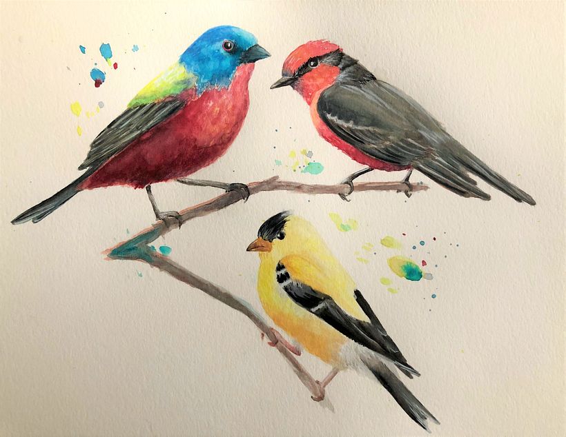 My project in Artistic Watercolor Techniques for Illustrating Birds course 0