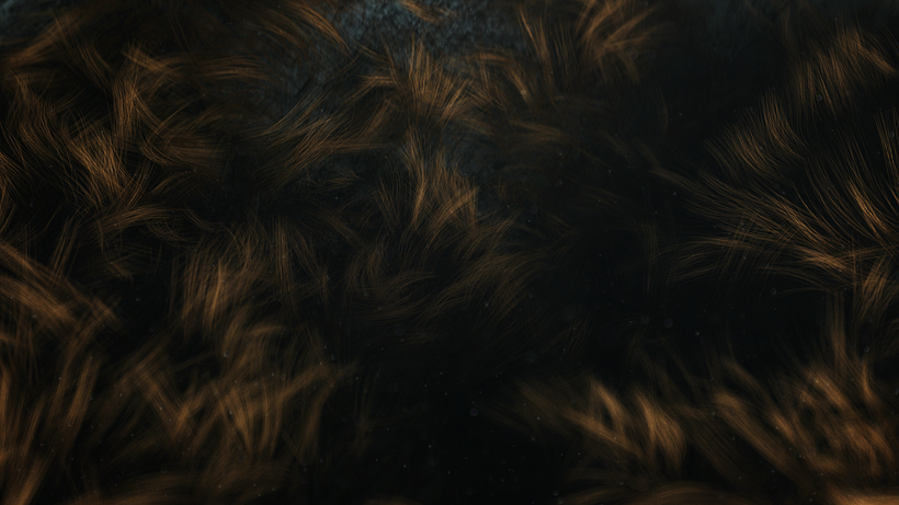 Exploration 17