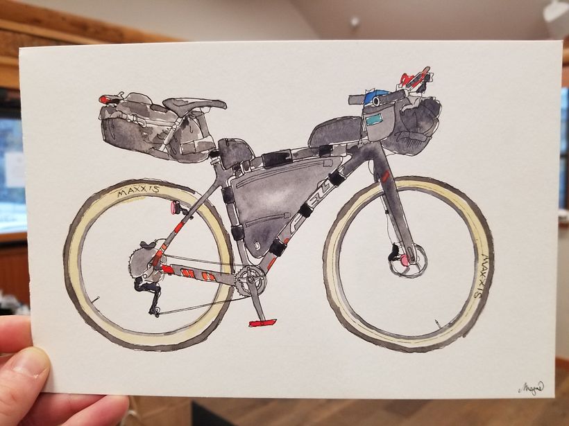 Bikepacking rigs 4