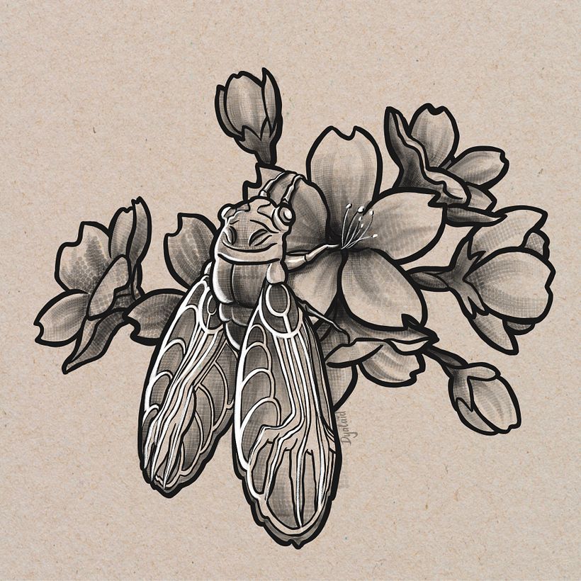 Concept: Cicada