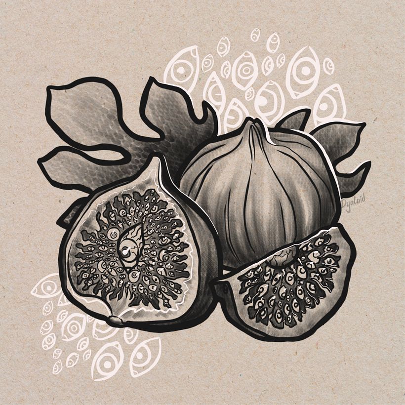 Concept: Fig