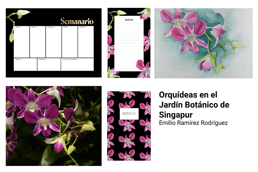 Mi proyecto final -1