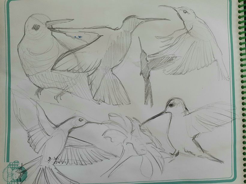 Quick drawings (10 seconds)