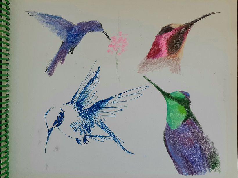 Color blocks without previous drawing or outline.