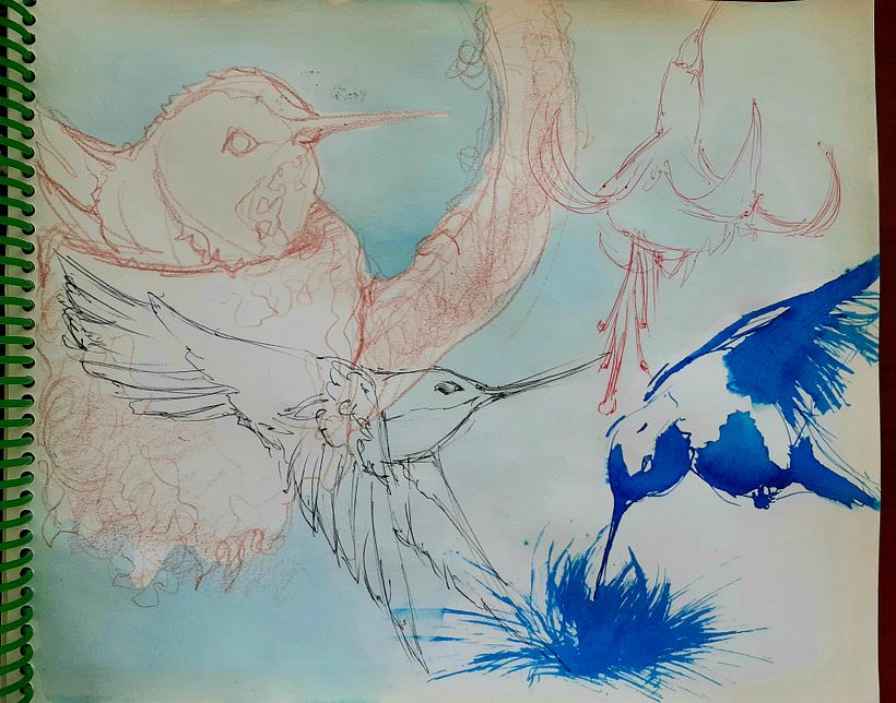 Mi Proyecto del curso: Naturaleza ilustrada: una exploración creativa 2
