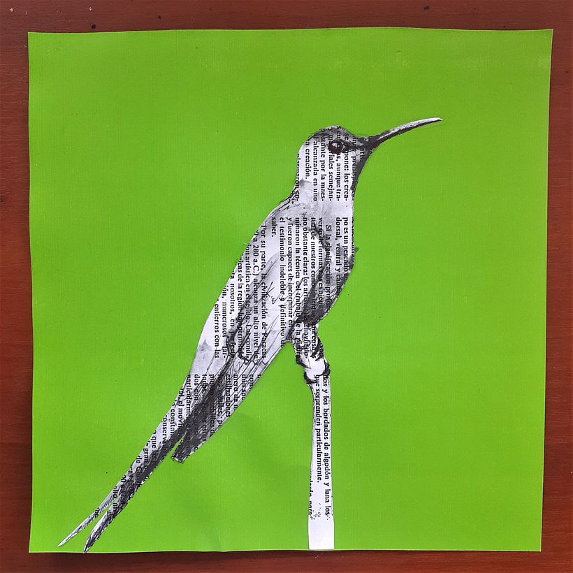 Mi Proyecto del curso: Naturaleza ilustrada: una exploración creativa 9