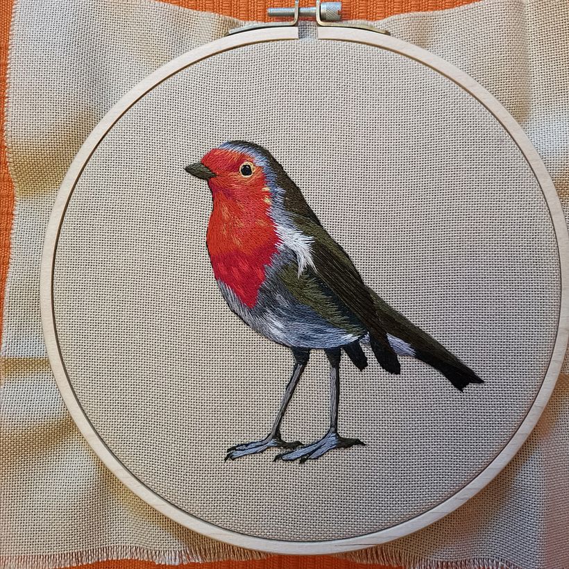 Mi proyecto final - petirrojo