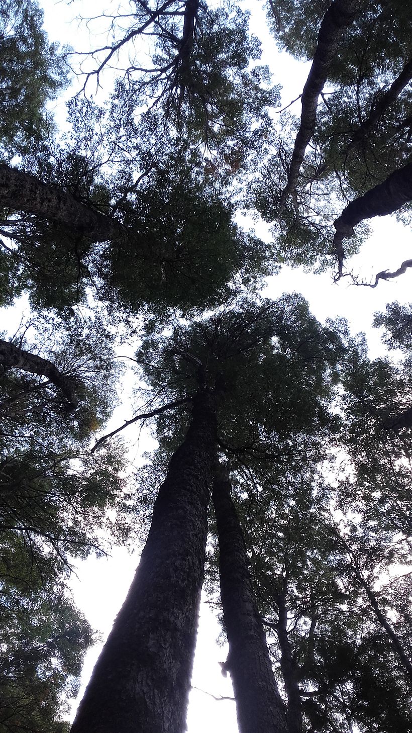 Aprender el arte de la fotografía de paisajes -1