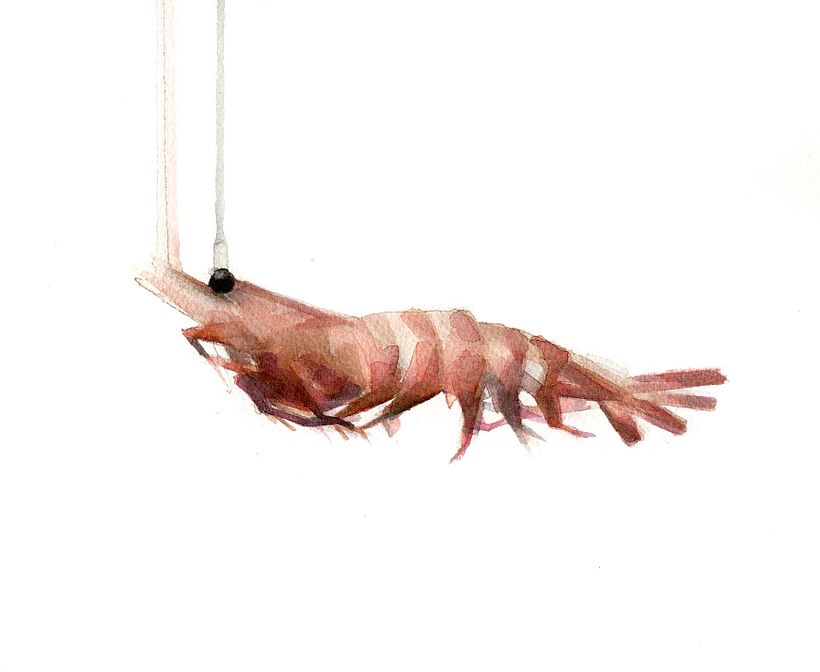 Cha chá chá 8