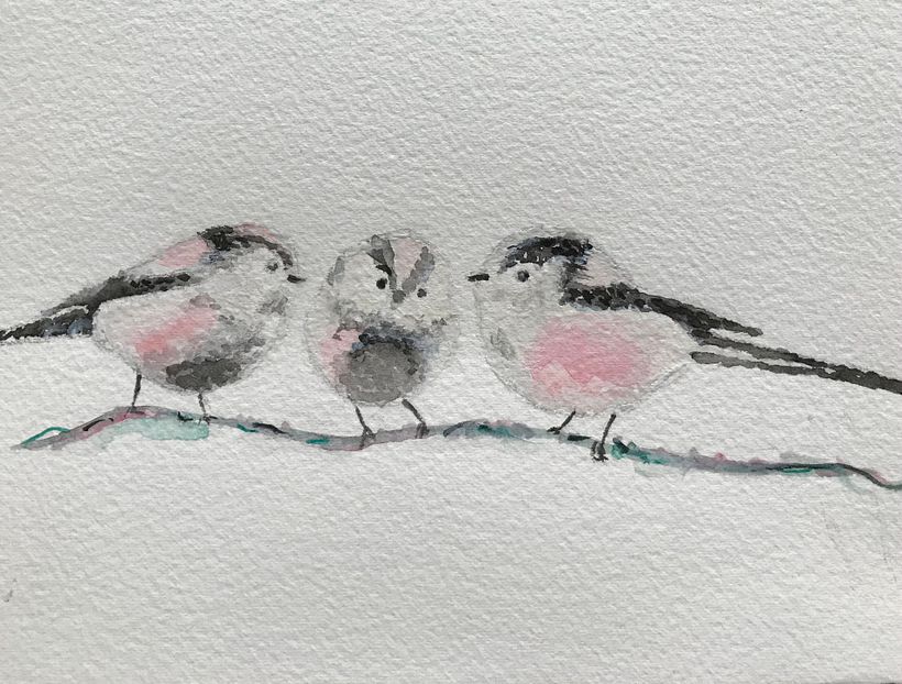My project in Artistic Watercolor Techniques for Illustrating Birds course 0