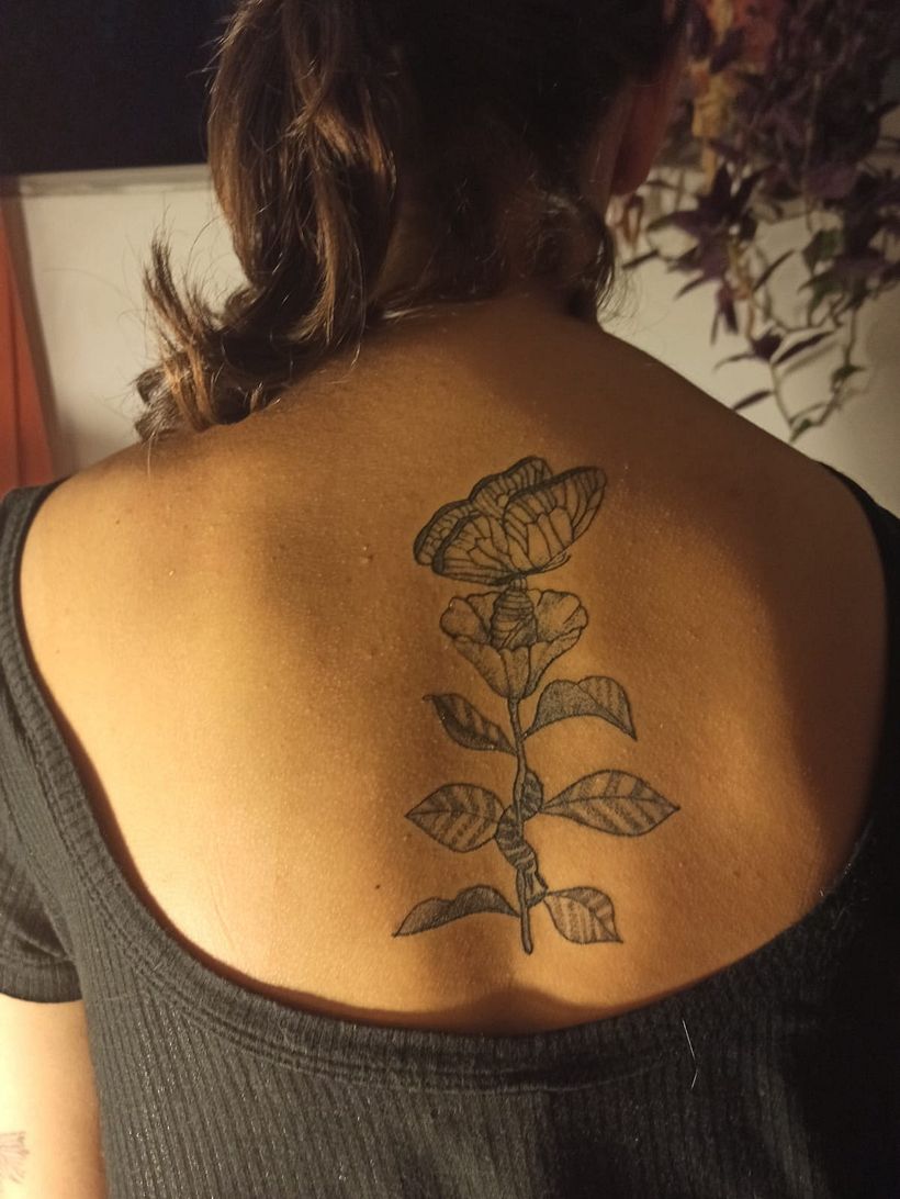 En proceso de cicatrización