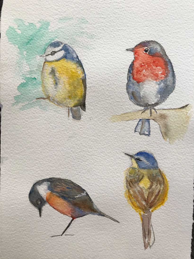 My project in Artistic Watercolor Techniques for Illustrating Birds course 1