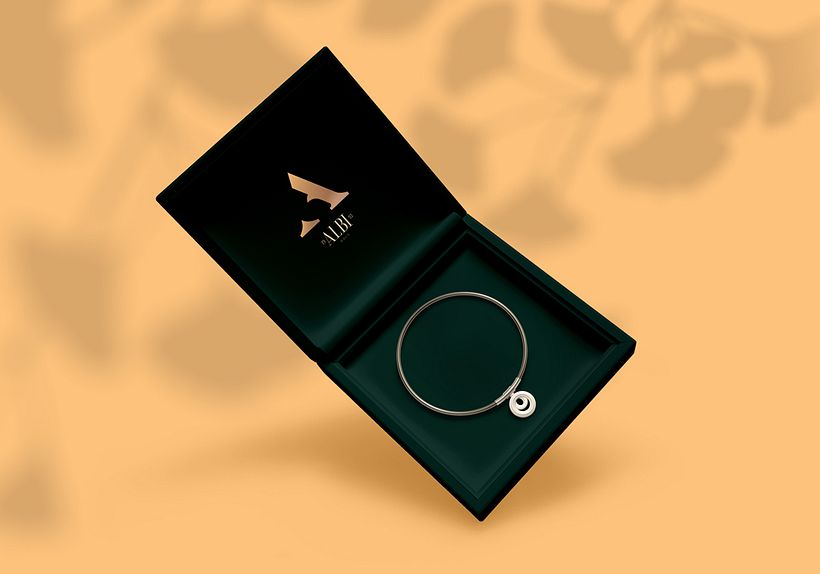 Bracelet Box