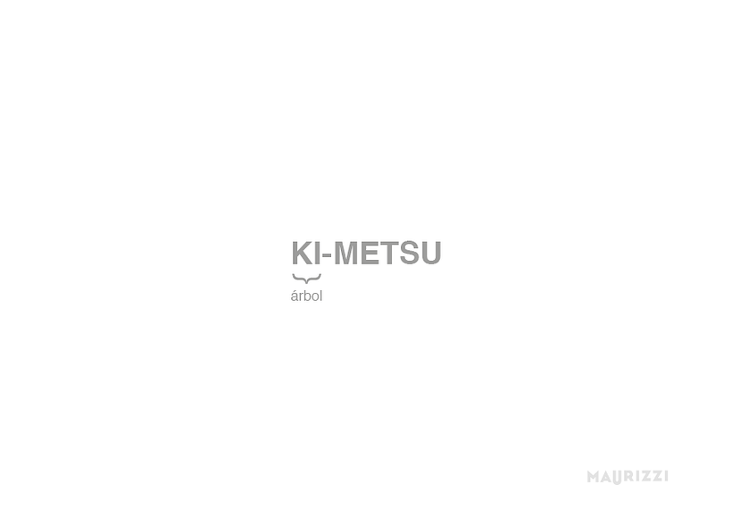 Kokedama´s project 0