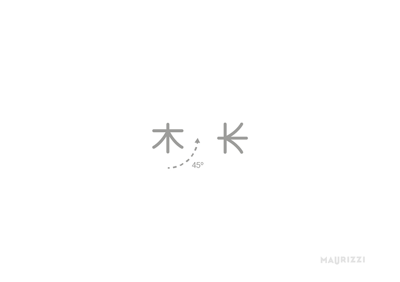 Kokedama´s project 2