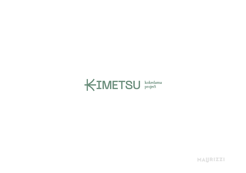 Kokedama´s project 6