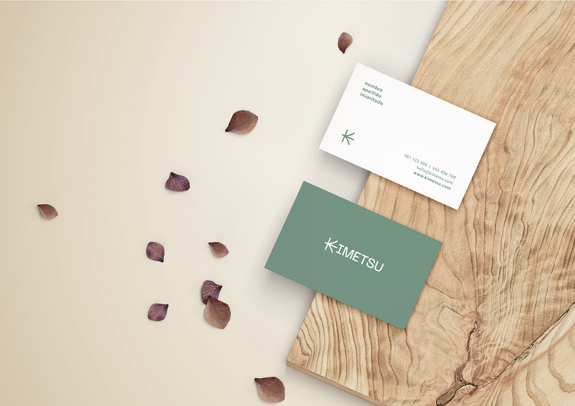 Kokedama´s project 8