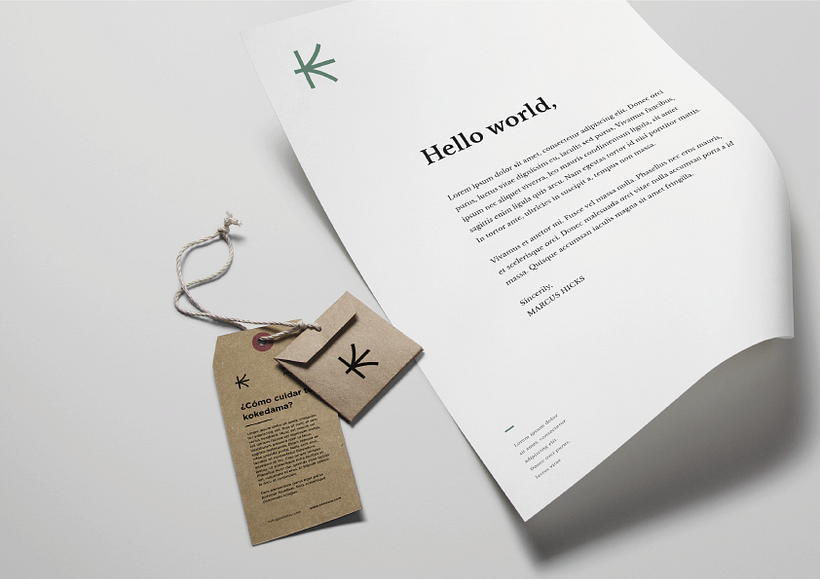 Kokedama´s project 9