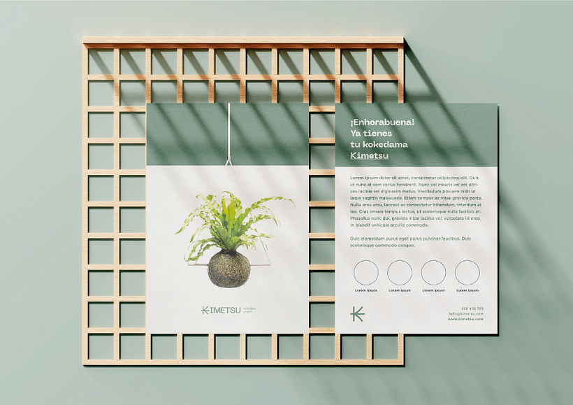 Kokedama´s project 10