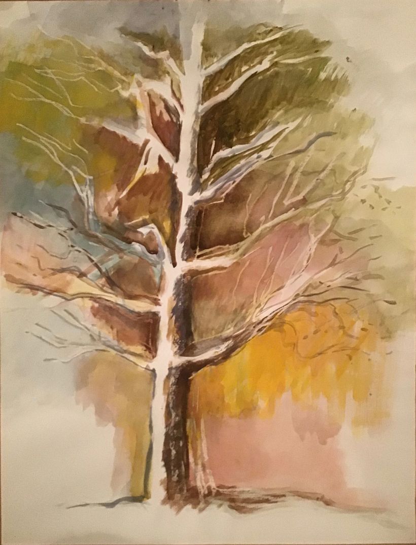Trees -1