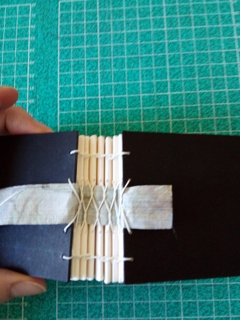 Tyvek strip added to help with consolidation of my very moveable spine