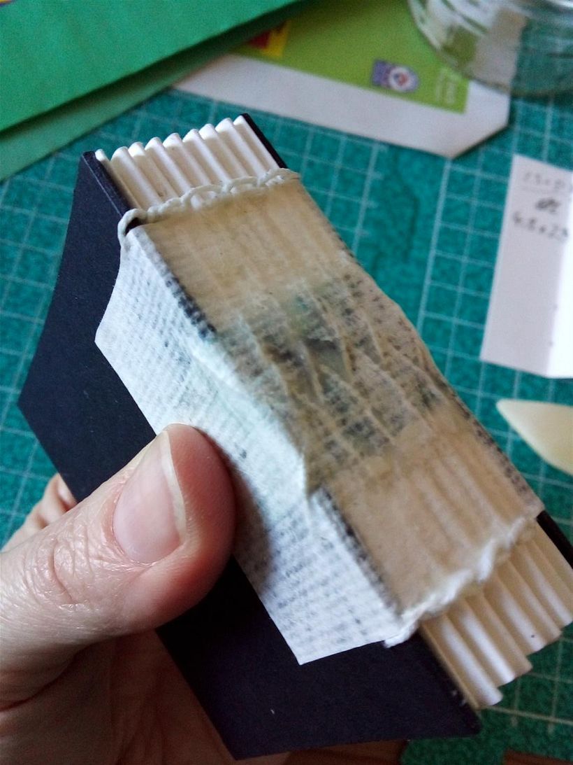 Glued and added paper for consolidation of spine