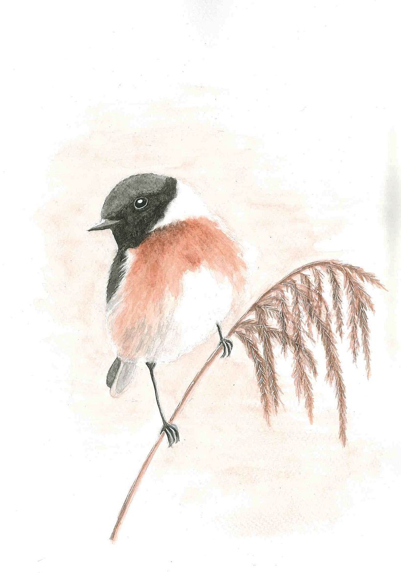 My project in Artistic Watercolor Techniques for Illustrating Birds course 3