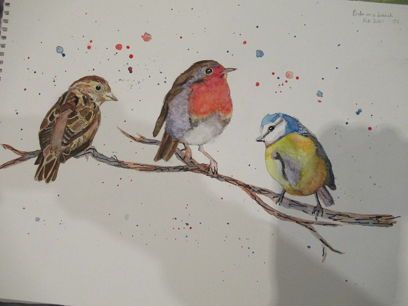 Robin, sparrow and blue tit on a branch. 