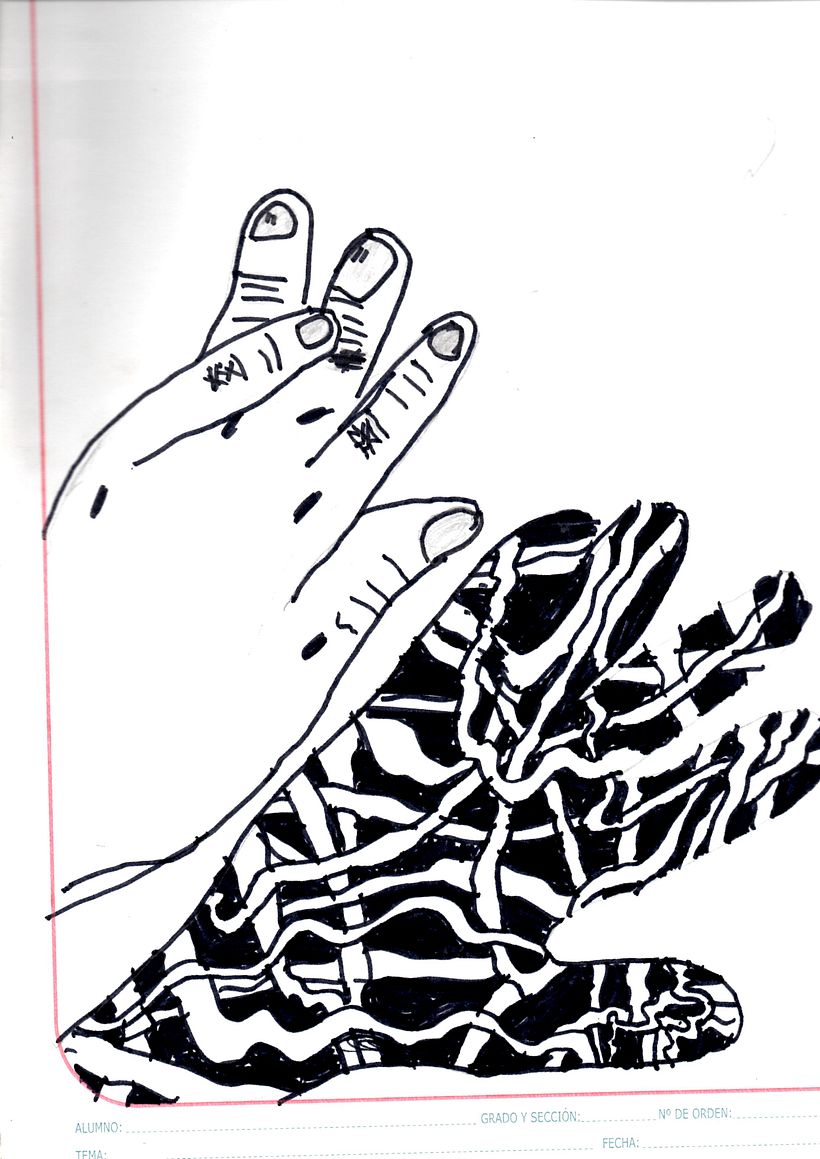 Mi Proyecto del curso: Dibujo para principiantes nivel -1 11
