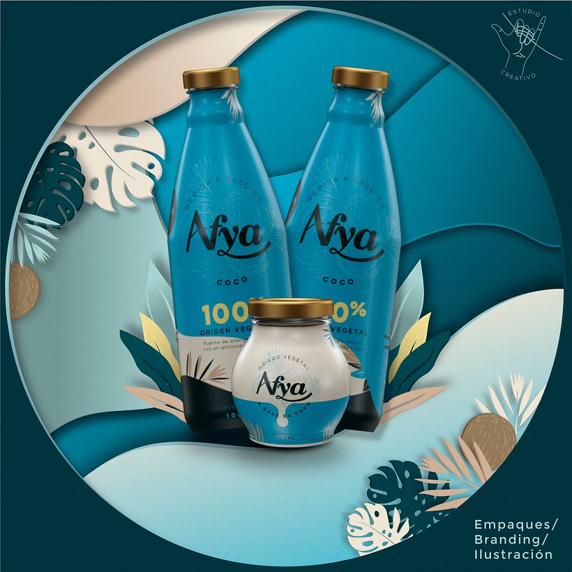 Presentación proyecto, packaging para productos de consumo 4