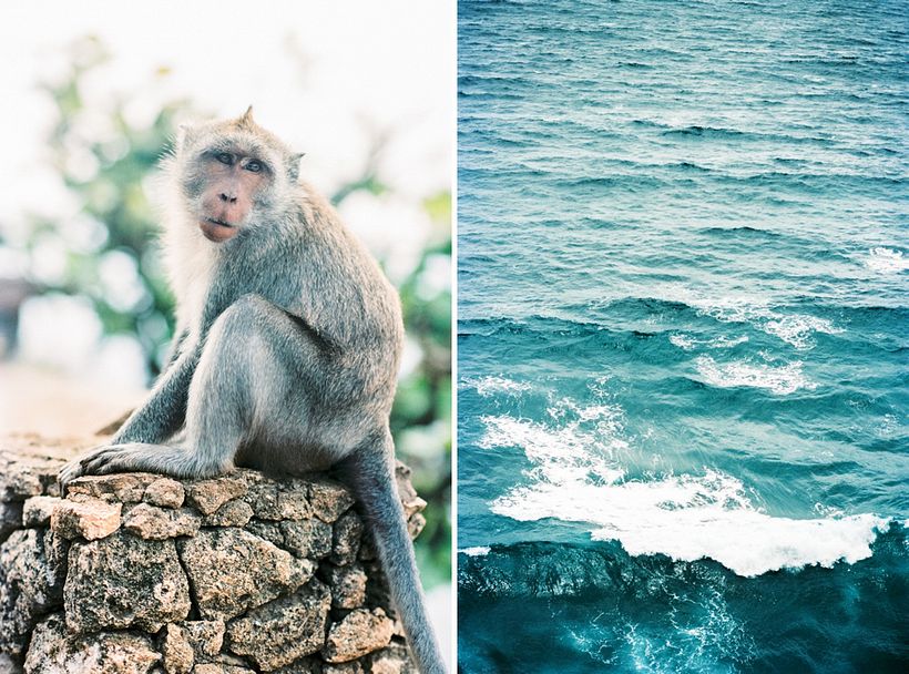 BALI - Love is my favourite color 2
