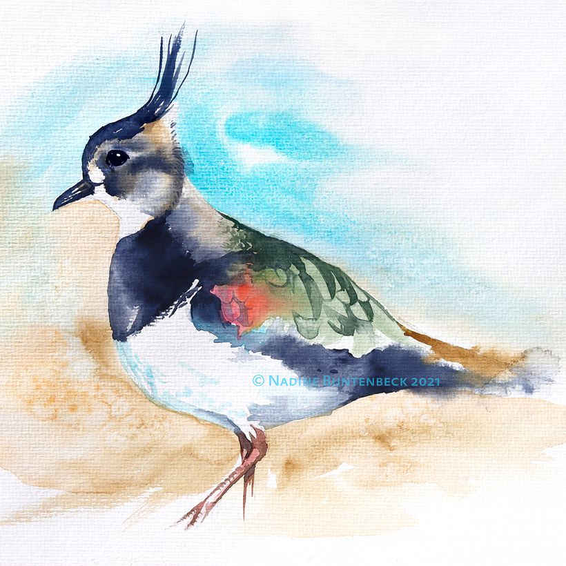 Watercolour birds 7