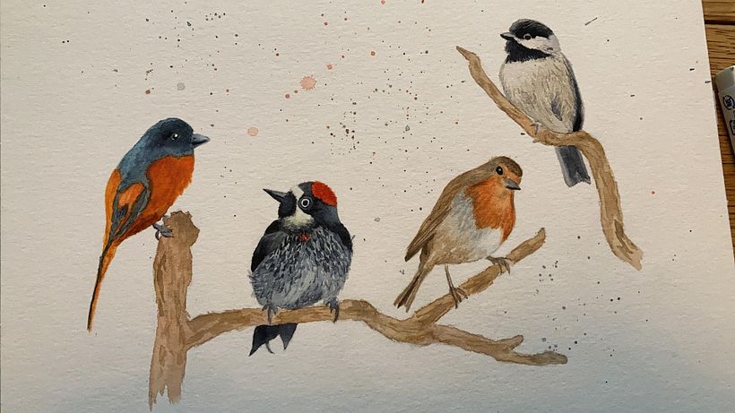 My project in Artistic Watercolor Techniques for Illustrating Birds course 0