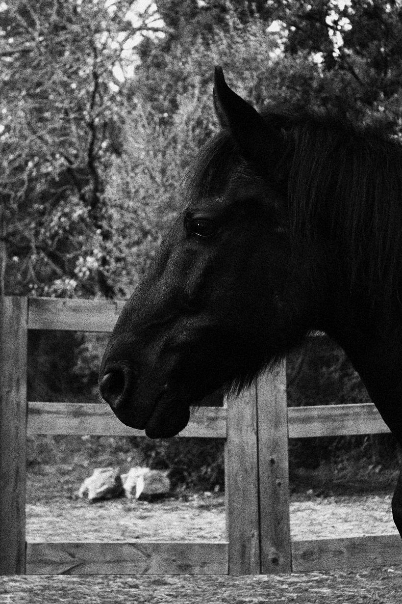 Zaro.