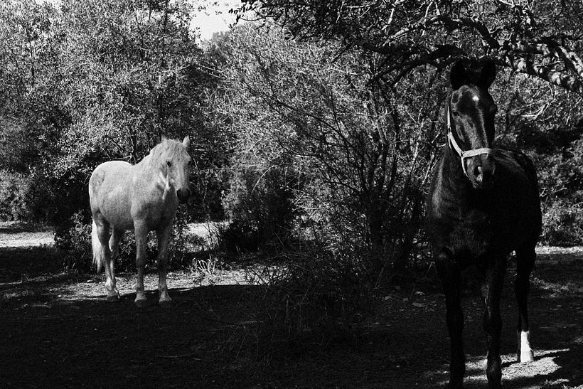 Ural y zapato. 