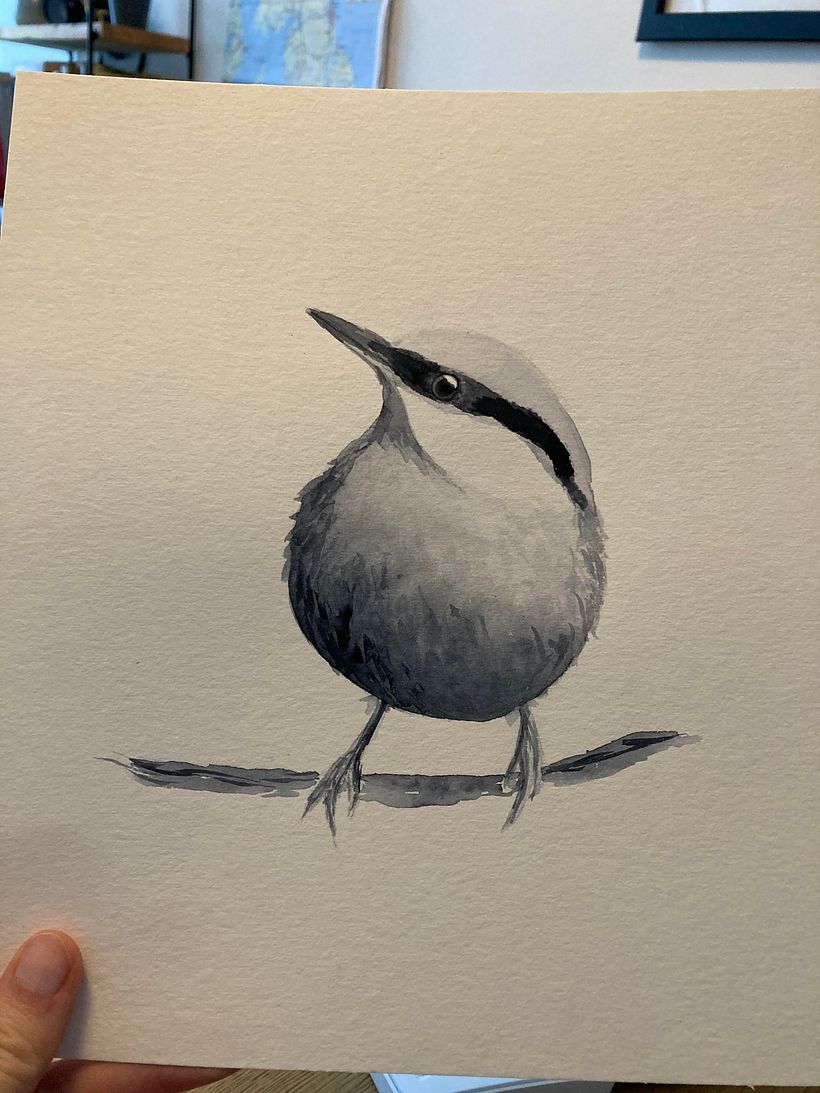 My project in Artistic Watercolor Techniques for Illustrating Birds course 1