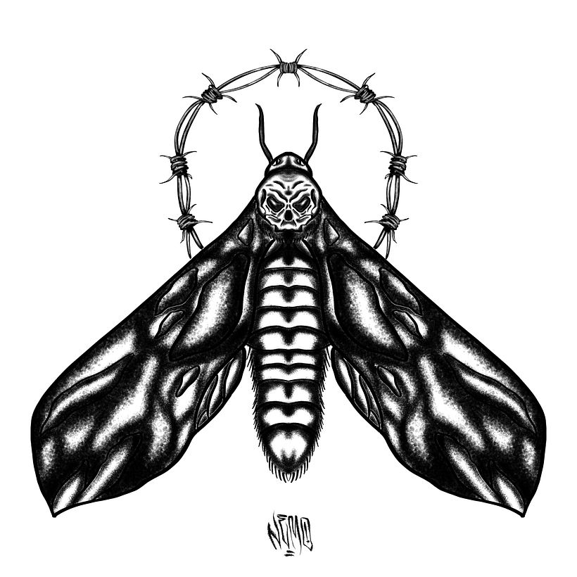 NEMONOIR portfolio 14
